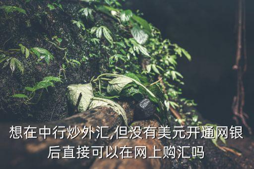 想在中行炒外匯,但沒有美元開通網(wǎng)銀后直接可以在網(wǎng)上購(gòu)匯嗎