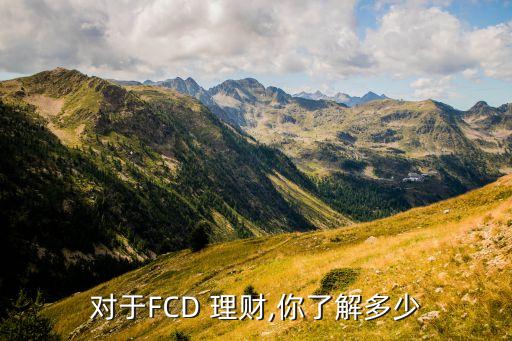 對于FCD 理財,你了解多少