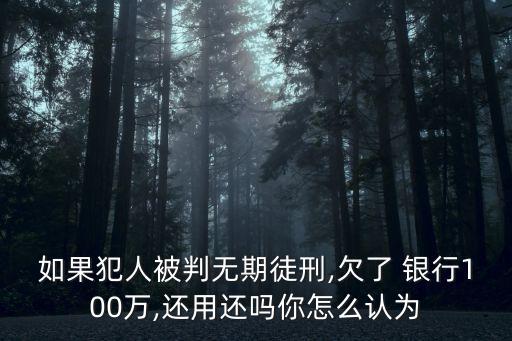 如果犯人被判無(wú)期徒刑,欠了 銀行100萬(wàn),還用還嗎你怎么認(rèn)為