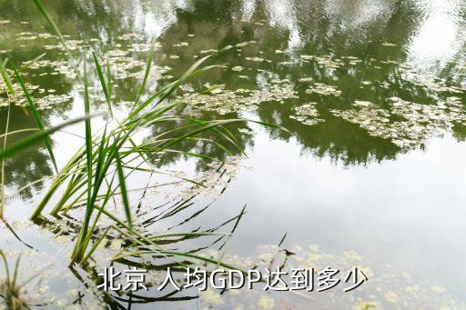 2012年北京市人均可支配收入,2023年北京市人均可支配收入是多少?