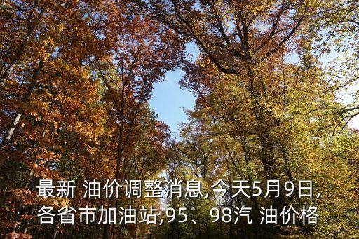 最新 油價(jià)調(diào)整消息,今天5月9日,各省市加油站,95、98汽 油價(jià)格