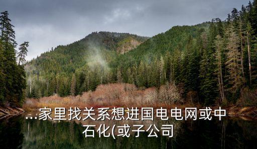 ...家里找關系想進國電電網(wǎng)或中 石化(或子公司