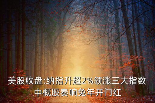 美股收盤(pán):納指升超2%領(lǐng)漲三大指數(shù)中概股奏響兔年開(kāi)門(mén)紅