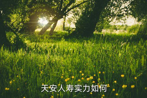  天安人壽實(shí)力如何