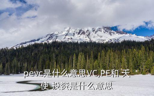 pevc是什么意思VC,PE和 天使 投資是什么意思