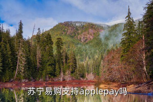  蘇寧易購支持applepay嗎