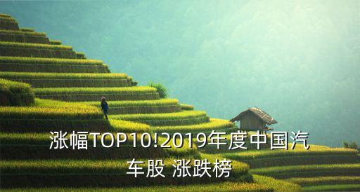 漲幅TOP10!2019年度中國(guó)汽車股 漲跌榜