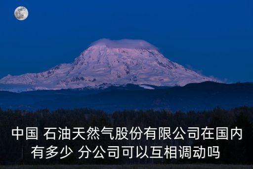 中國 石油天然氣股份有限公司在國內有多少 分公司可以互相調動嗎