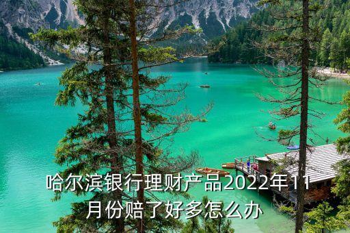  哈爾濱銀行理財產(chǎn)品2022年11月份賠了好多怎么辦