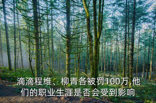  滴滴程維、柳青各被罰100萬(wàn),他們的職業(yè)生涯是否會(huì)受到影響