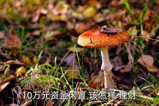 10萬如何投資理財(cái),3000萬如何投資理財(cái)