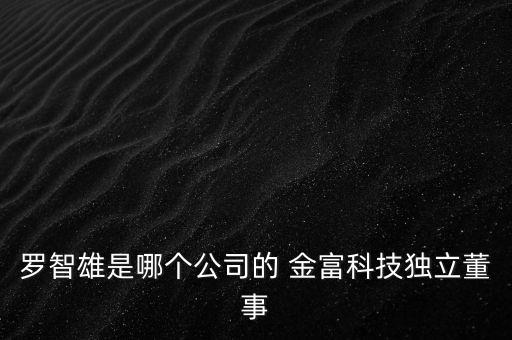 羅智雄是哪個公司的 金富科技獨立董事