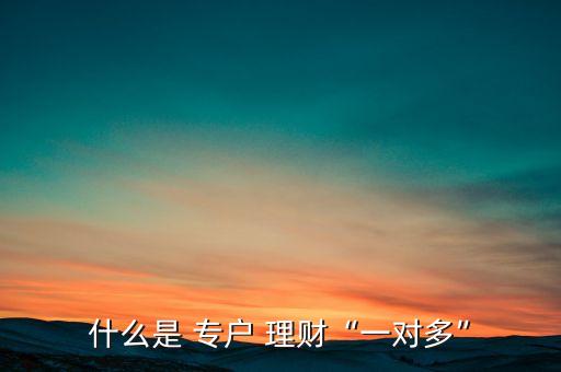 什么是 專戶 理財(cái)“一對(duì)多”