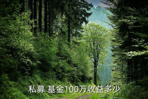  私募 基金100萬(wàn)收益多少