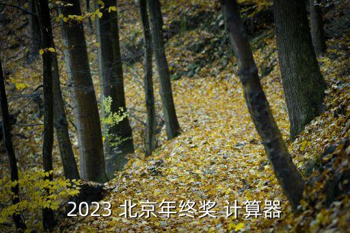 2023 北京年終獎(jiǎng) 計(jì)算器