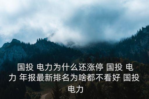 國(guó)投電力控股股份有限公司年報(bào),國(guó)投集團(tuán)國(guó)投電力控股股份有限公司