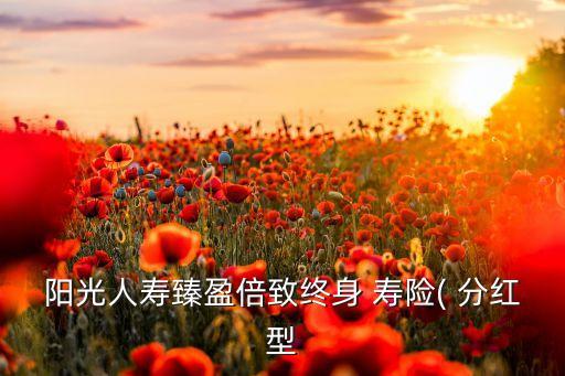 陽光人壽臻盈倍致終身 壽險(xiǎn)( 分紅型