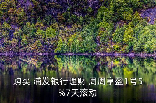 購買 浦發(fā)銀行理財(cái) 周周享盈1號(hào)5%7天滾動(dòng)