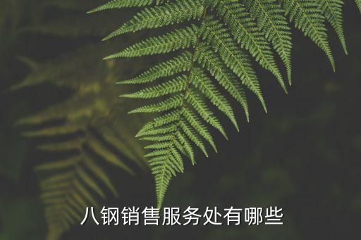 新疆八鋼國(guó)際貿(mào)易股份有限公司,新疆銀隆國(guó)際貿(mào)易股份有限公司