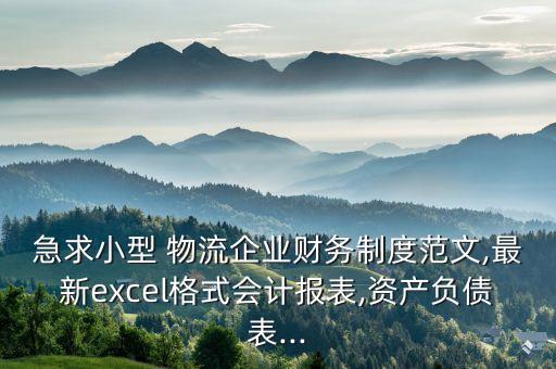 急求小型 物流企業(yè)財(cái)務(wù)制度范文,最新excel格式會計(jì)報(bào)表,資產(chǎn)負(fù)債表...