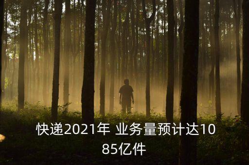  快遞2021年 業(yè)務量預計達1085億件