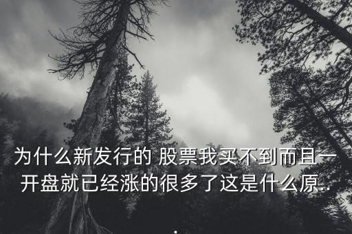 為什么新發(fā)行的 股票我買不到而且一開盤就已經(jīng)漲的很多了這是什么原...