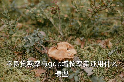 不良貸款率與gdp增長率實證用什么模型