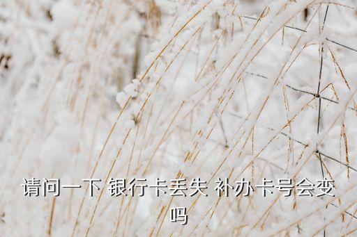 請(qǐng)問一下 銀行卡丟失 補(bǔ)辦卡號(hào)會(huì)變嗎