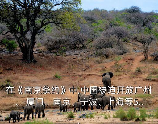 在《南京條約》中,中國被迫開放廣州、 廈門、南京、寧波、上海等5...