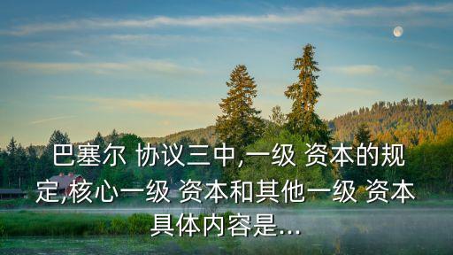 中國版的巴塞爾資本協(xié)議3,第二版巴塞爾資本協(xié)議第三支柱