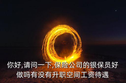 你好,請(qǐng)問一下,保險(xiǎn)公司的銀保員好做嗎有沒有升職空間工資待遇