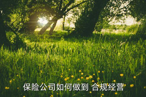  保險(xiǎn)公司如何做到 合規(guī)經(jīng)營(yíng)