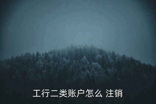 工行二類賬戶怎么 注銷