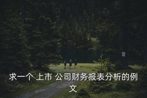 求一個 上市 公司財務(wù)報表分析的例文