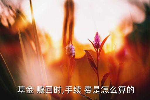  基金 贖回時(shí),手續(xù) 費(fèi)是怎么算的