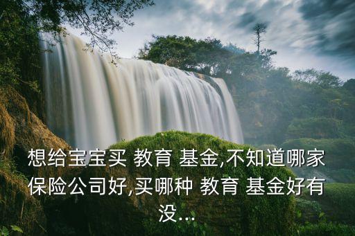 想給寶寶買 教育 基金,不知道哪家保險公司好,買哪種 教育 基金好有沒...