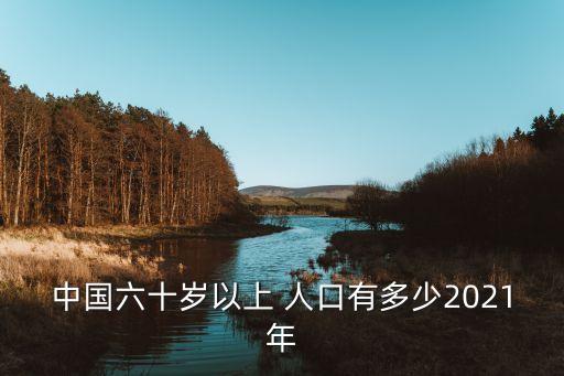 中國六十歲以上 人口有多少2021年