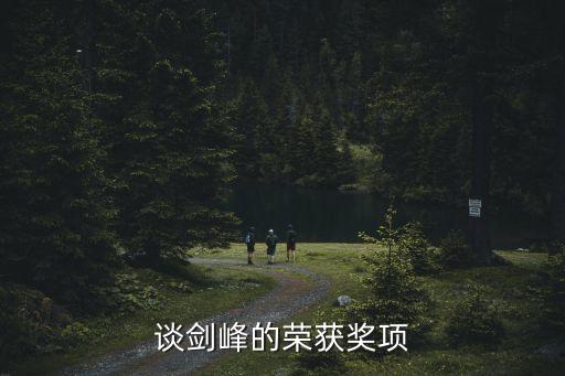 談劍峰的榮獲獎(jiǎng)項(xiàng)