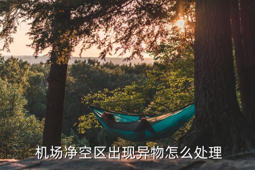  機(jī)場(chǎng)凈空區(qū)出現(xiàn)異物怎么處理