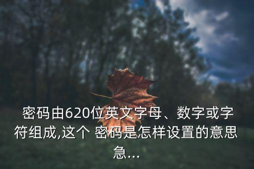 銀行卡密碼怎么設(shè)計