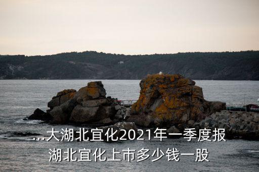 ...大湖北宜化2021年一季度報湖北宜化上市多少錢一股