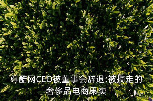 尊酷網(wǎng)CEO被董事會辭退:被摘走的奢侈品電商果實(shí)