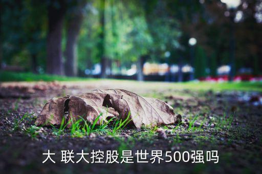 大 聯(lián)大控股是世界500強(qiáng)嗎