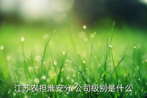 江蘇農擔淮安分 公司級別是什么