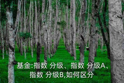  基金:指數(shù) 分級、指數(shù) 分級A、指數(shù) 分級B,如何區(qū)分