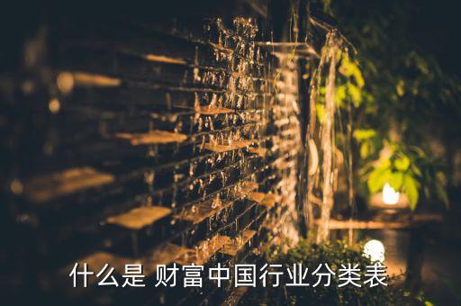 什么是 財(cái)富中國行業(yè)分類表