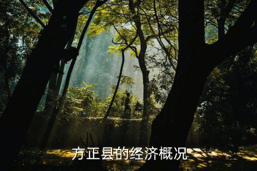  方正縣的經(jīng)濟(jì)概況