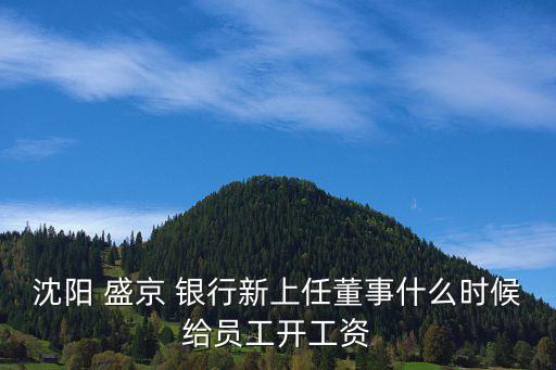 沈陽 盛京 銀行新上任董事什么時候給員工開工資