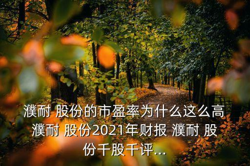  濮耐 股份的市盈率為什么這么高 濮耐 股份2021年財(cái)報(bào) 濮耐 股份千股千評...