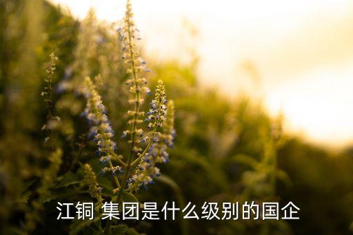 江銅集團礦山新技術(shù)開發(fā)有限公司